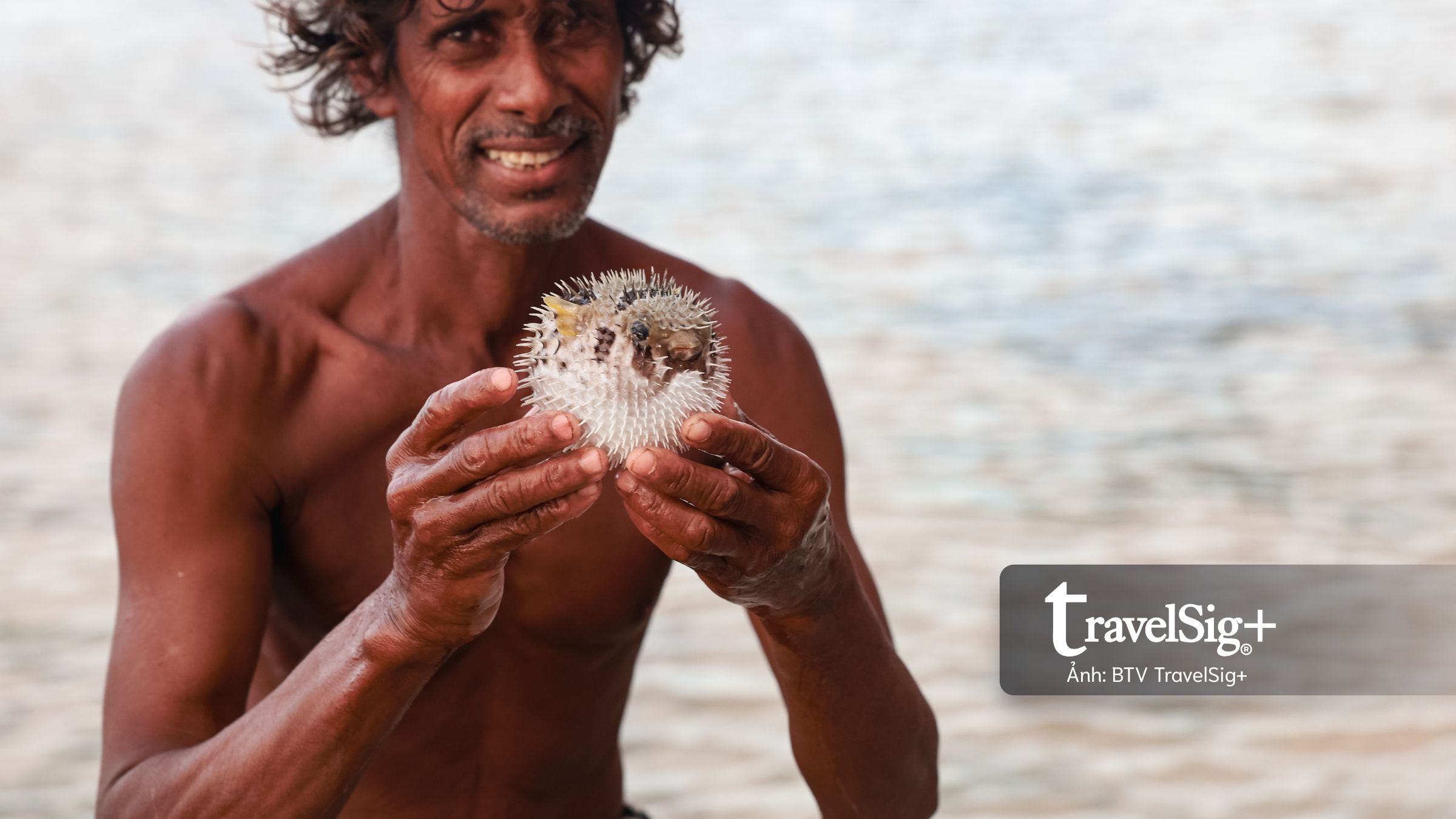 Vẻ đẹp của SOCOTRA: “Galápagos của Ấn Độ Dương” giữa biển khơi