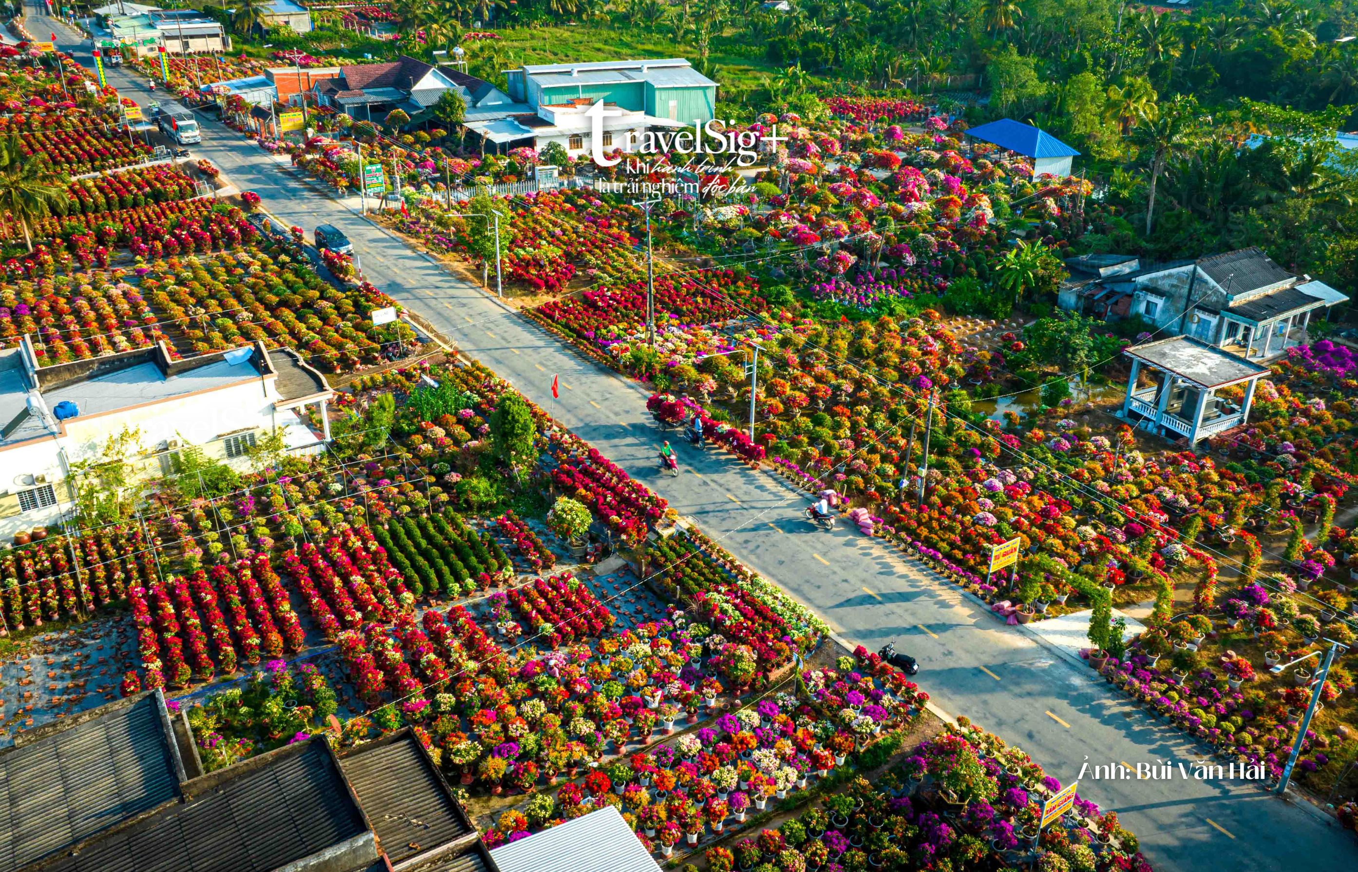 Vẻ đẹp rực rỡ của làng hoa giấy Phú Sơn dịp Tết Ất Tỵ 2025