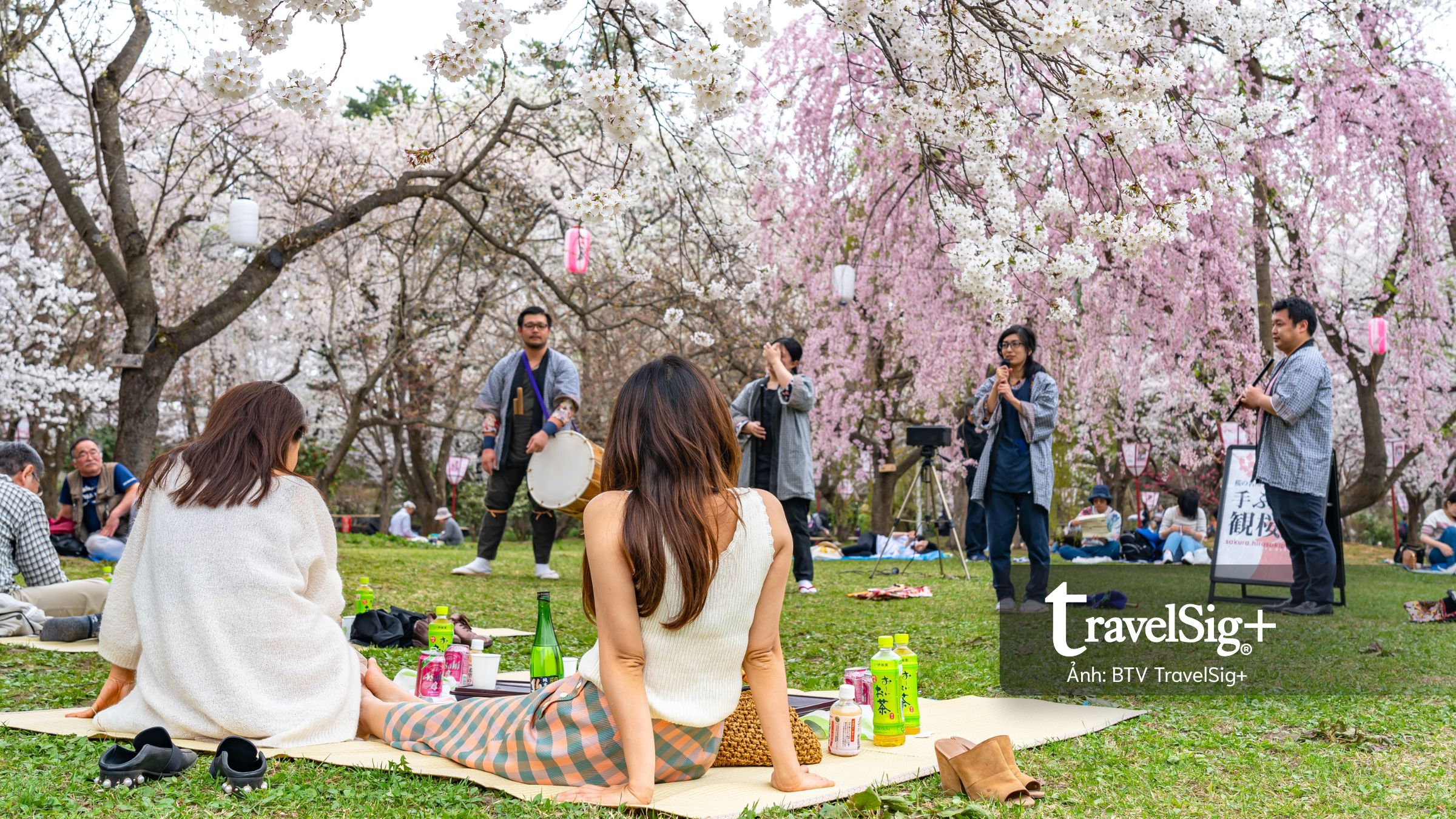 Vì sao mùa hoa anh đào Nhật Bản luôn là “thời khắc tuyệt đỉnh” của dân mê du lịch?