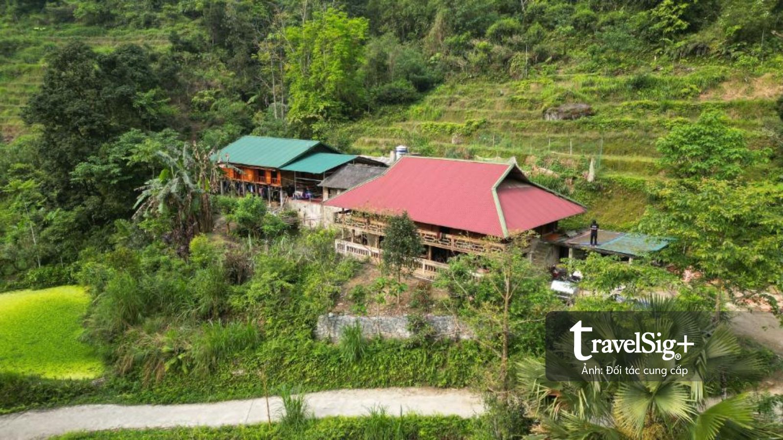 Xu hướng road trip mùa xuân: Khi hành trình trở thành "tuyên ngôn phong cách"