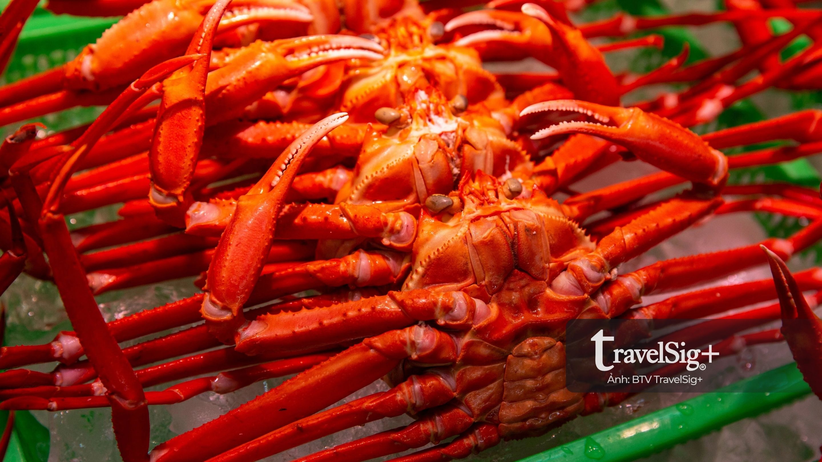 Zuwagani - Hương vị mùa đông tinh khiết từ biển Nhật Bản