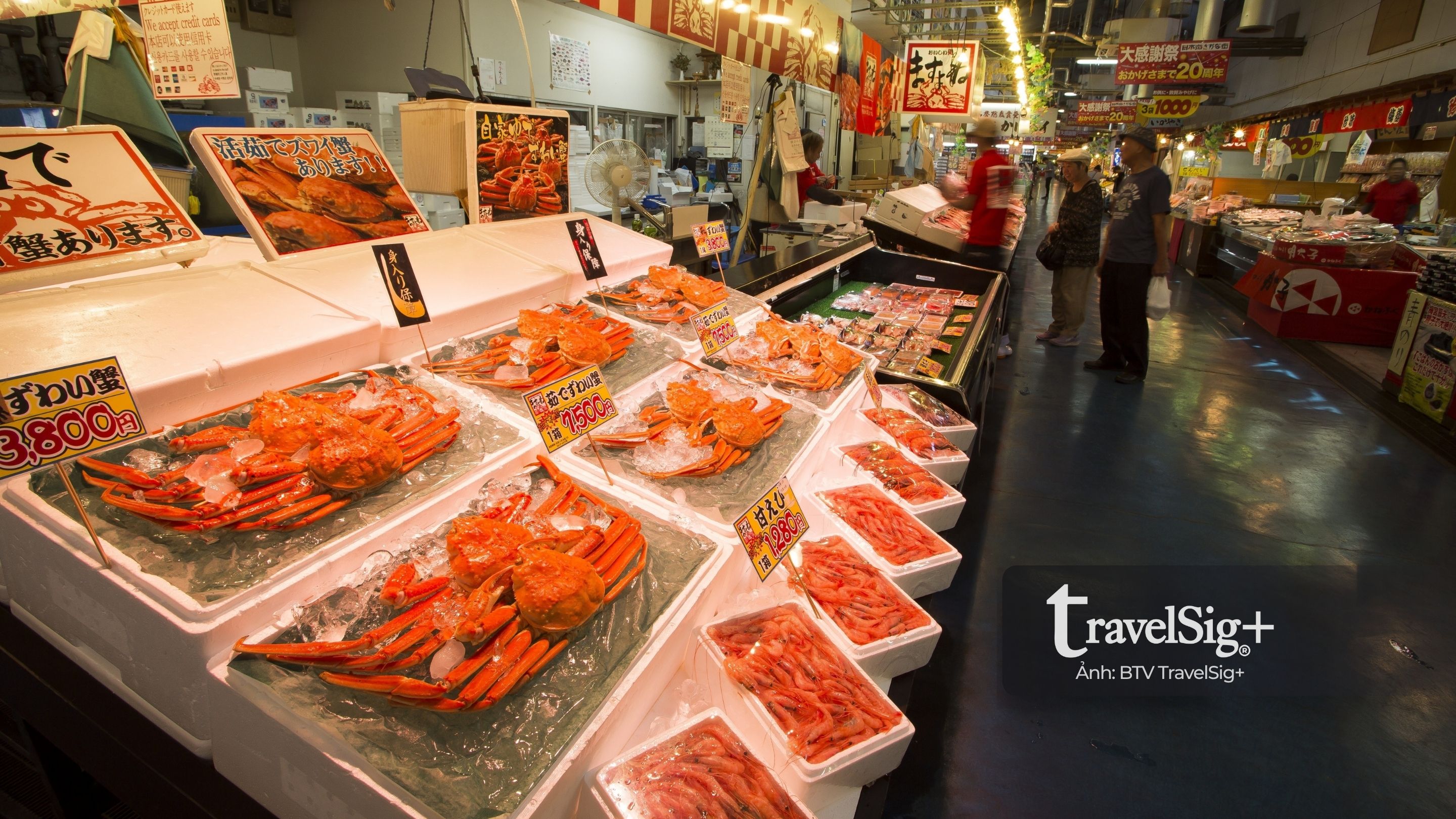 Zuwagani - Hương vị mùa đông tinh khiết từ biển Nhật Bản